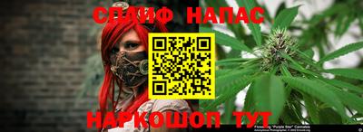 МДПВ Будённовск