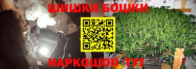 МДПВ Будённовск