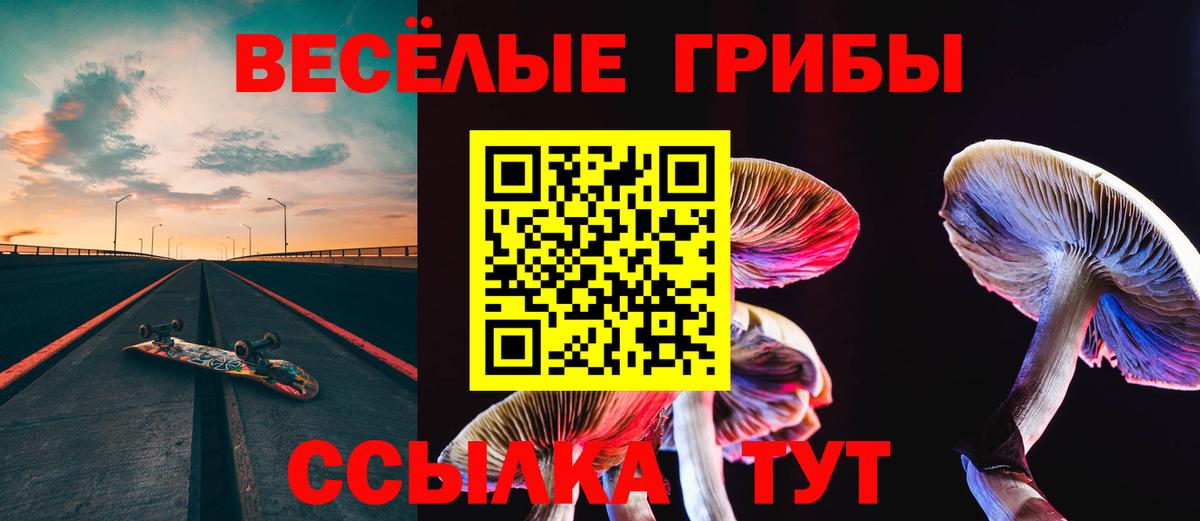 Шадринск  Галлюциногенные грибы мицелий  Вход с VPN 